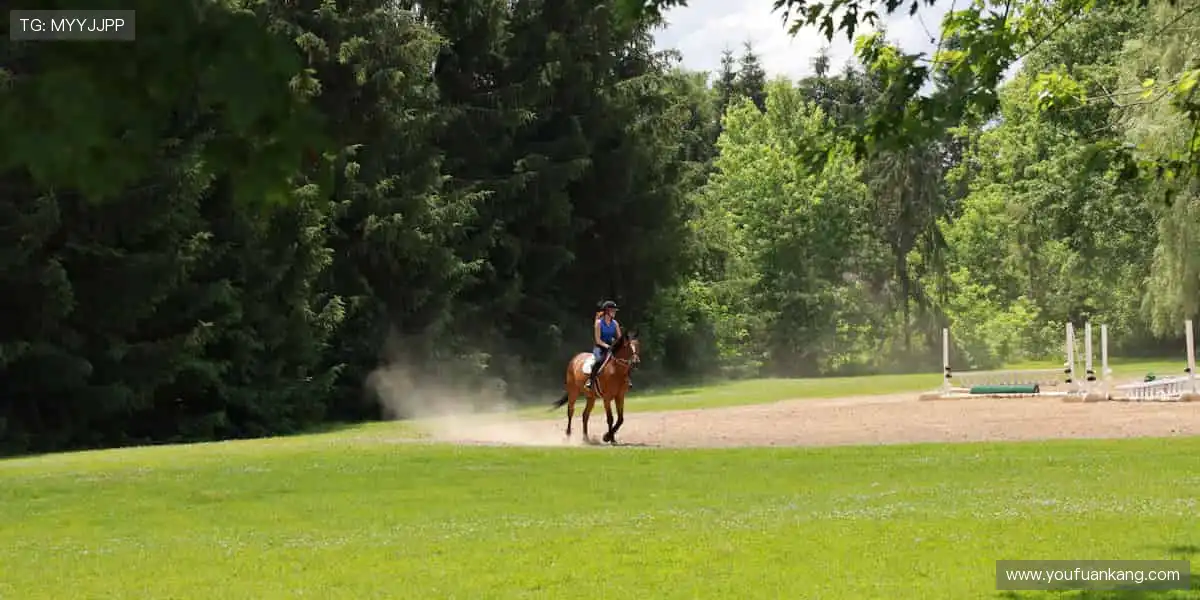 🎁 周边好物，把赛场带回家！
